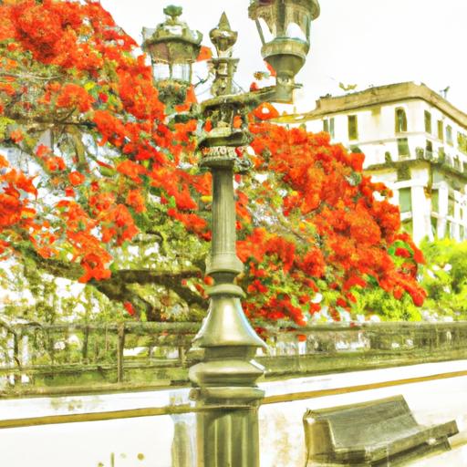 Descubre las causas y soluciones al racionamiento de energía en Cartagena